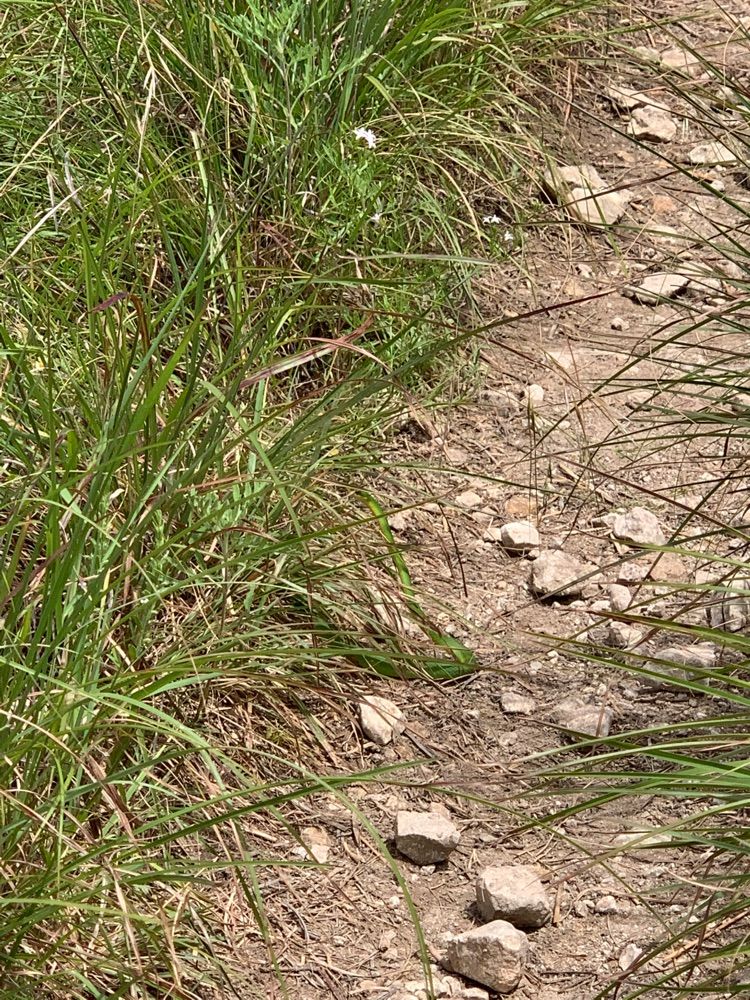 National Wildlife Refuge