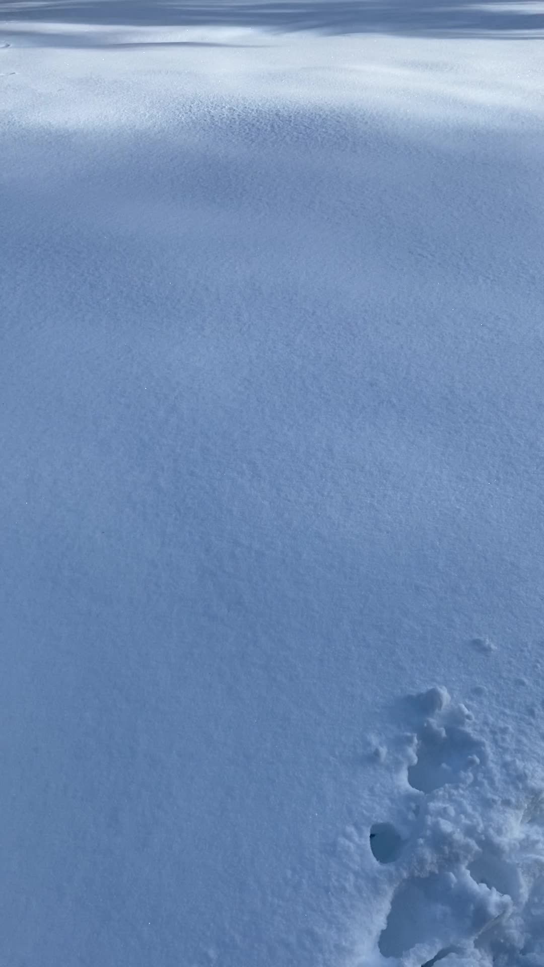 Snowshoeing to Dewey Point w/ Lauren