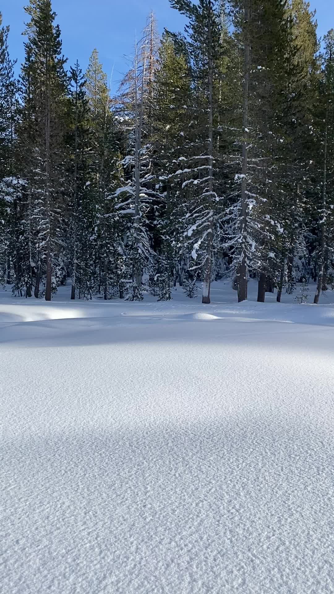 Snowshoeing to Dewey Point w/ Lauren