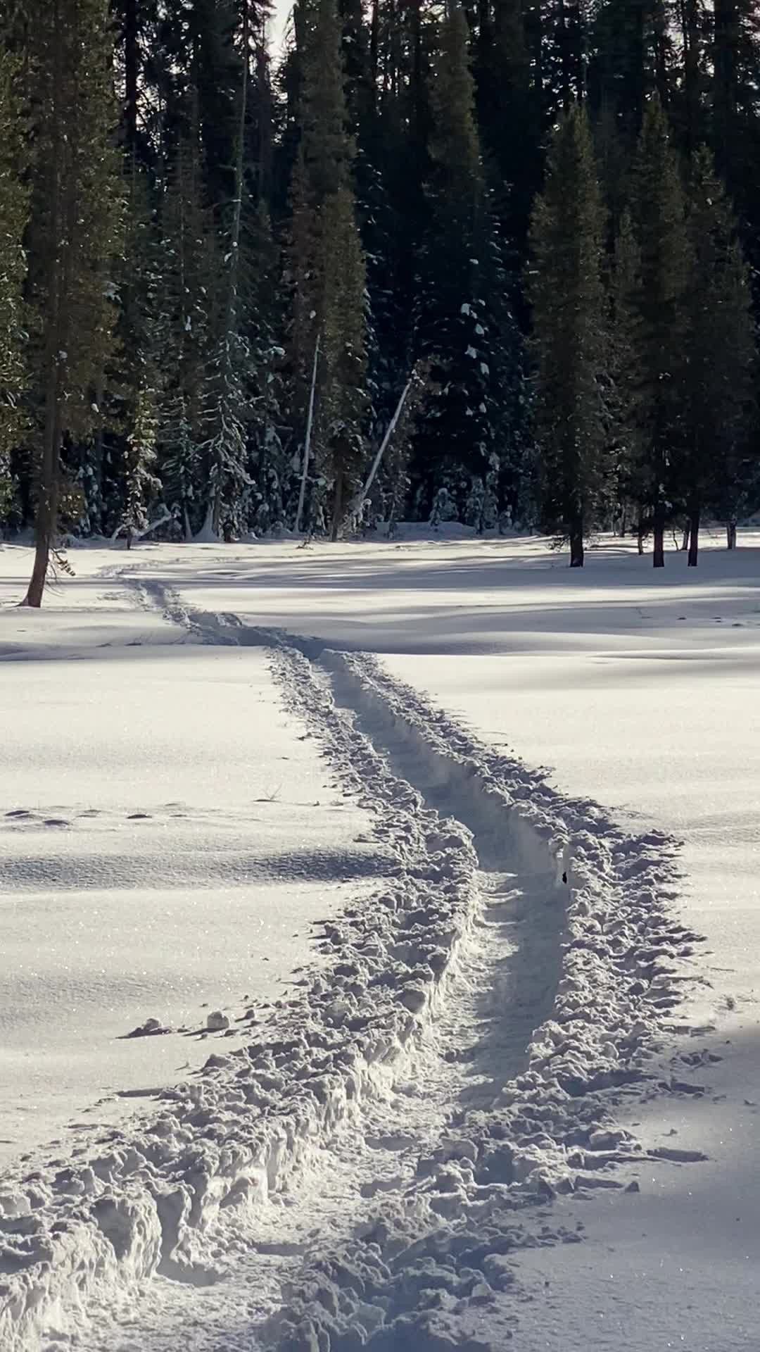 Snowshoeing to Dewey Point w/ Lauren