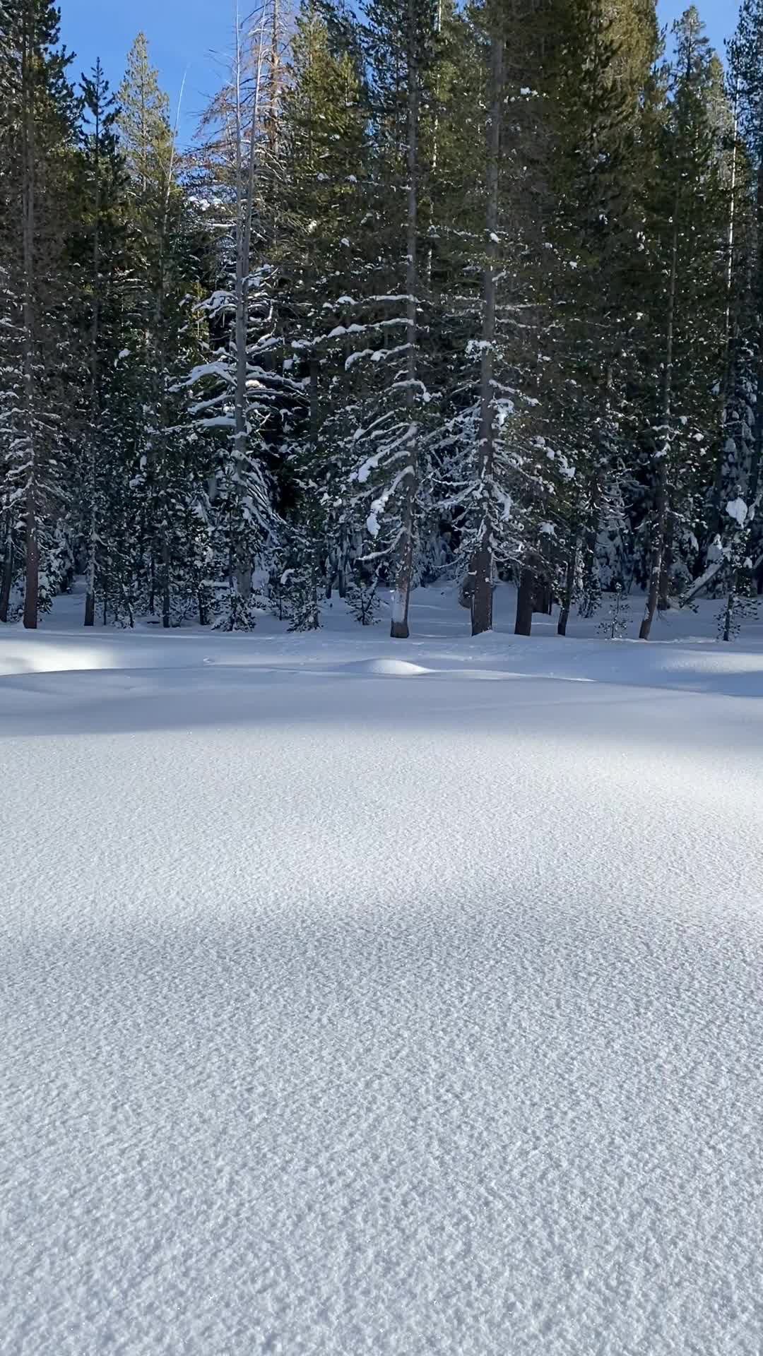 Snowshoeing to Dewey Point w/ Lauren