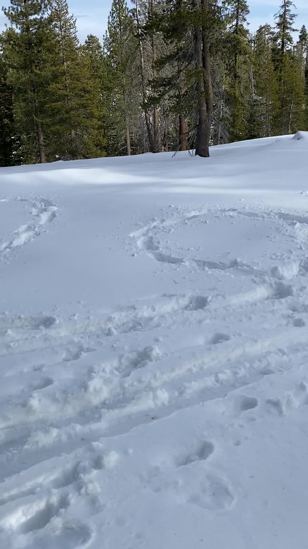 Snowshoeing to Dewey Point w/ Lauren