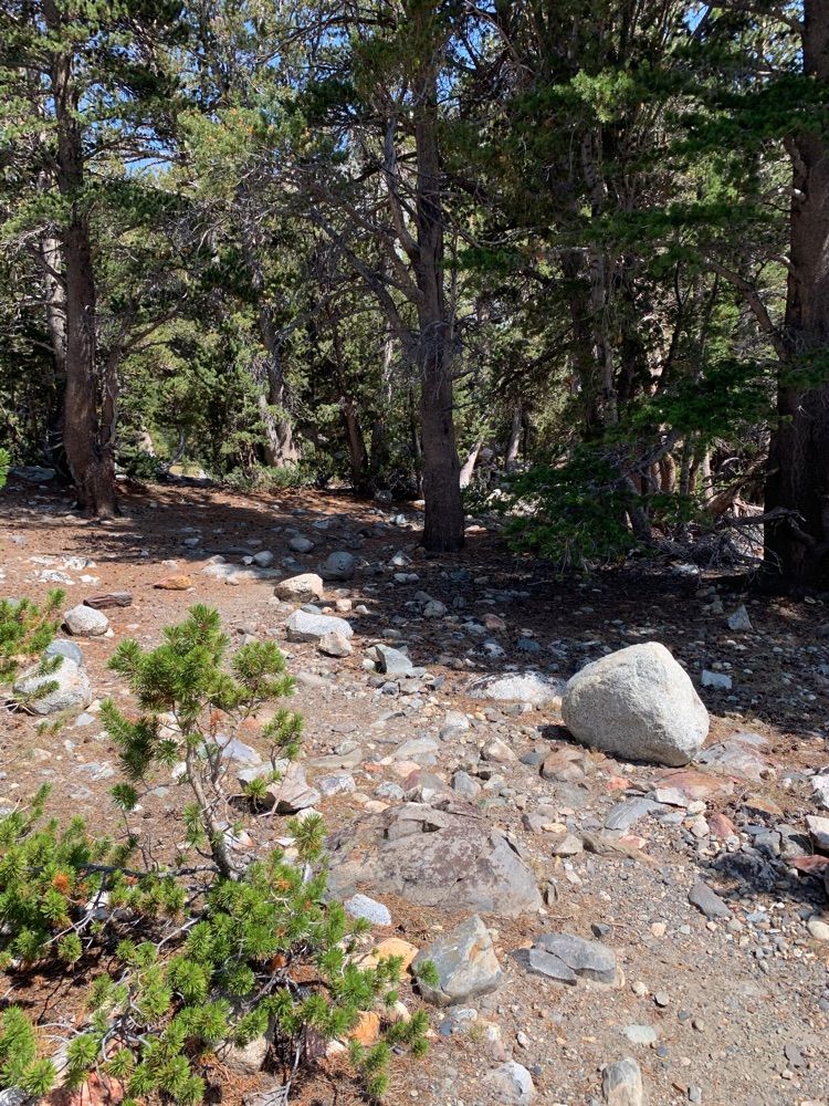 Dana peak