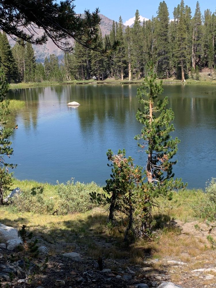 Dana peak