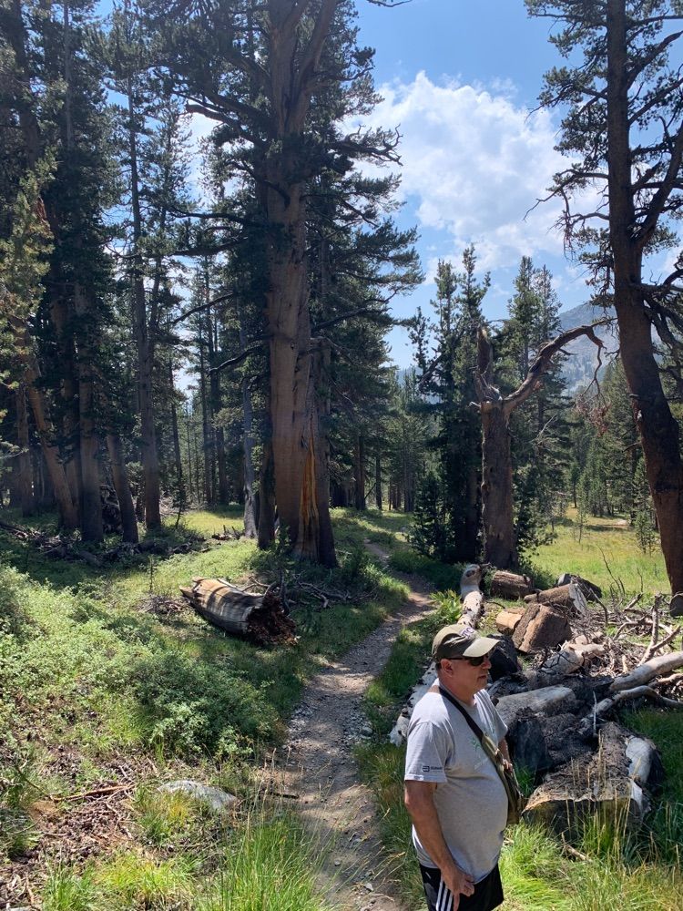 Dana peak