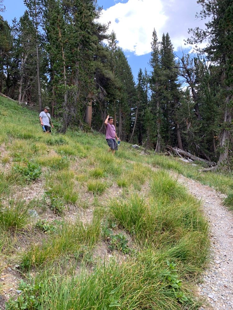 Dana peak
