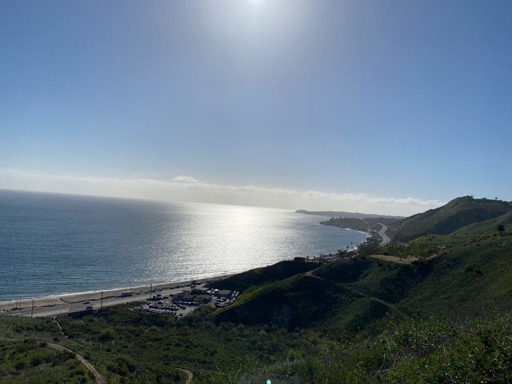 Malibu seafood