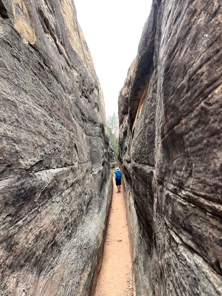 Canyonlands Utah - The Needles
