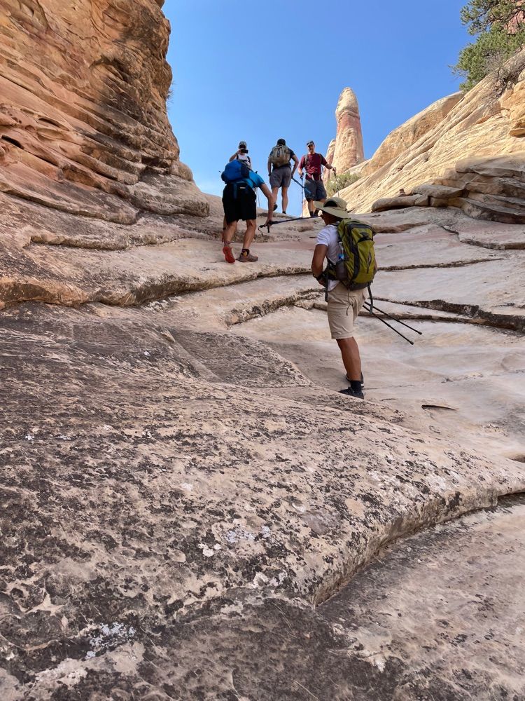 Canyonlands Utah - The Needles