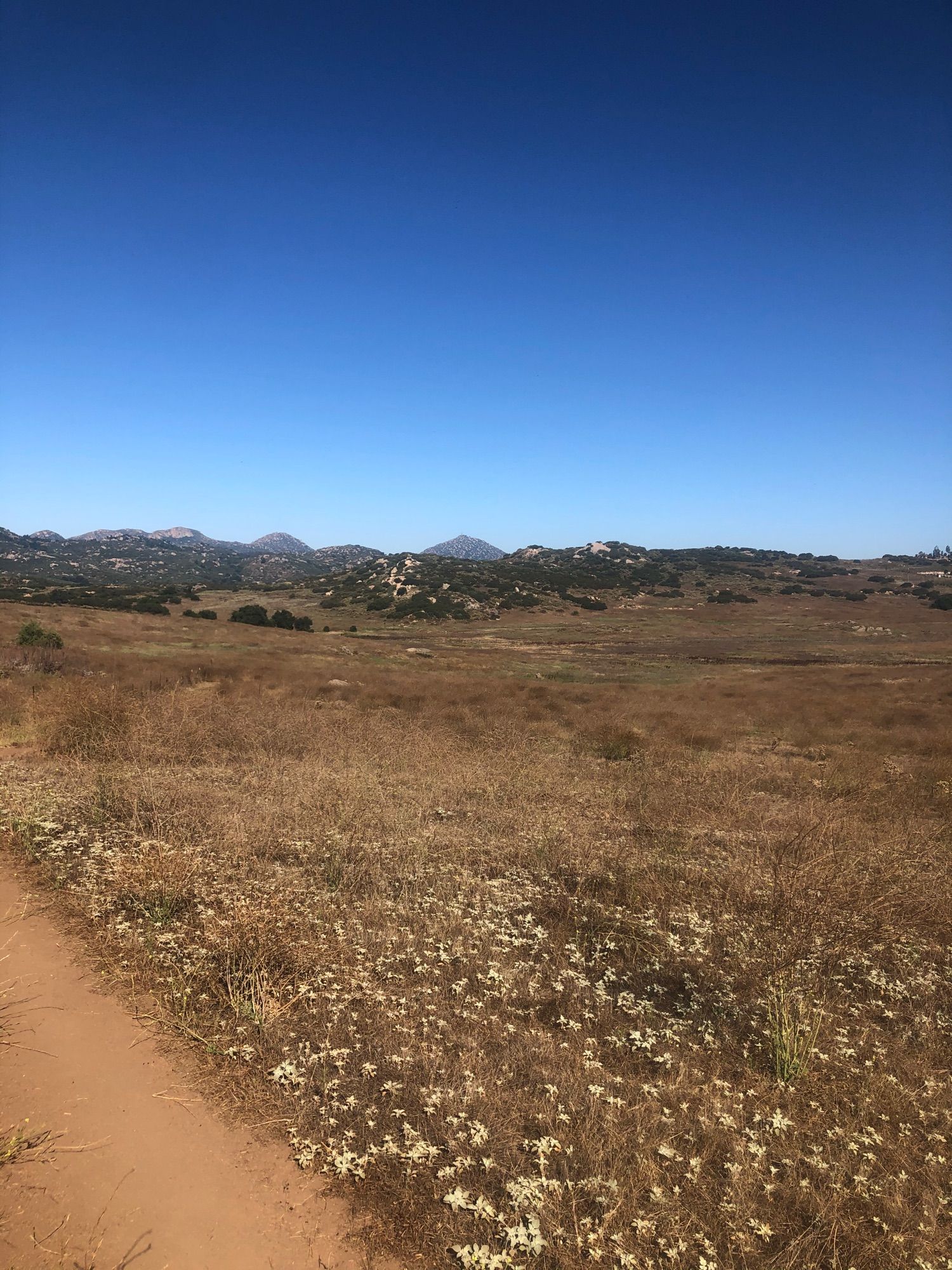 Barnett Ranch Adventure