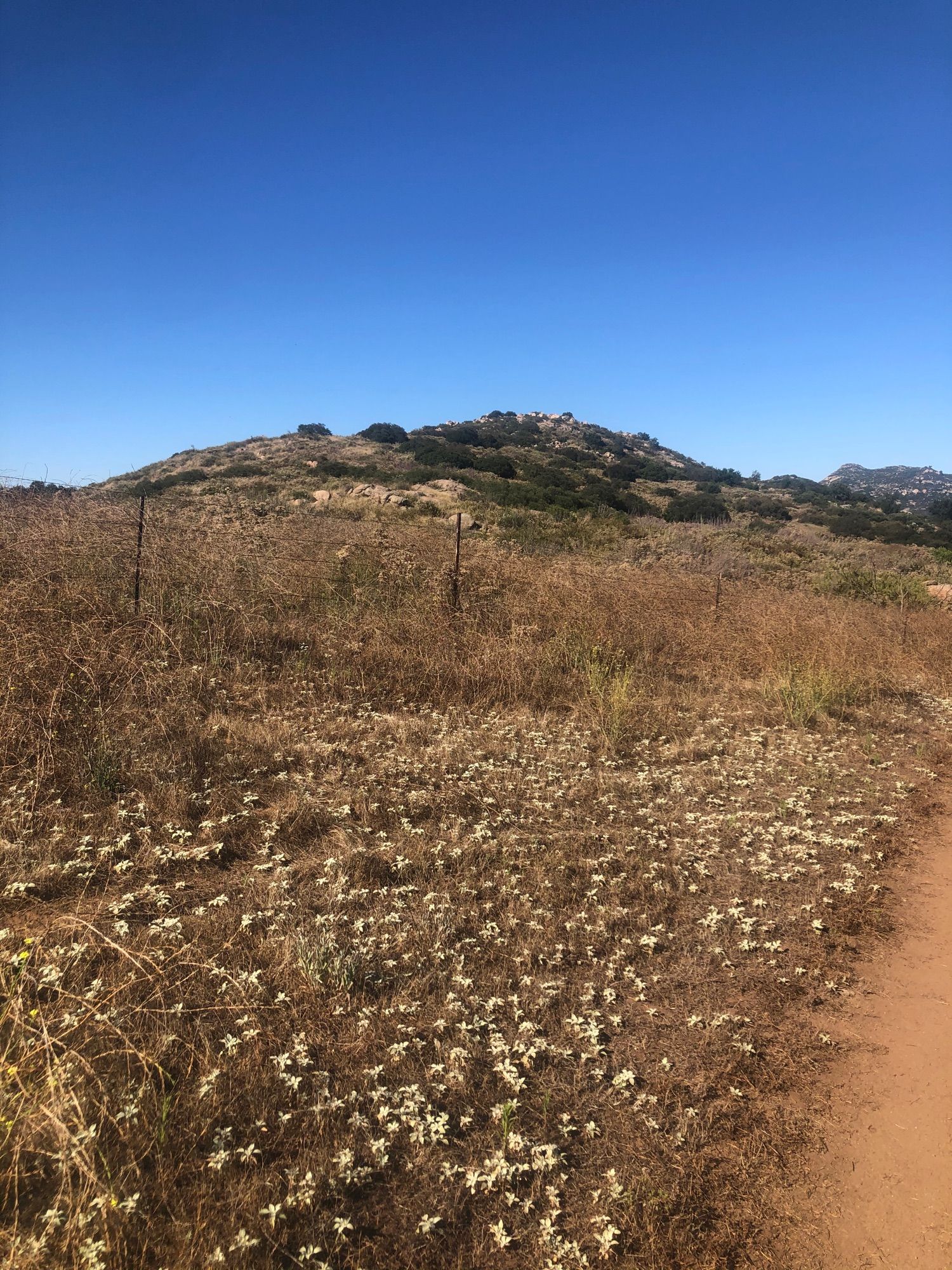 Barnett Ranch Adventure