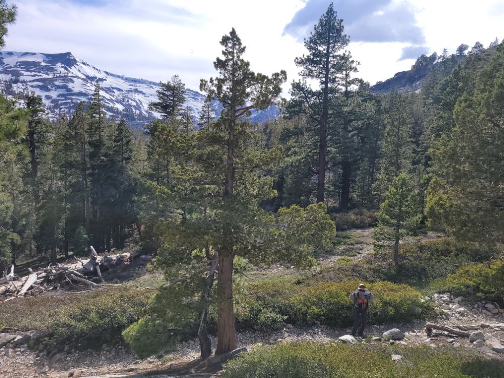 Echo lake/PCT