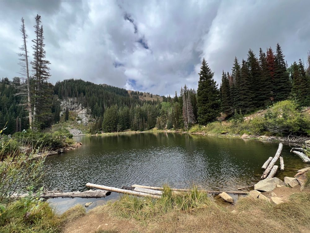Bloods Lake