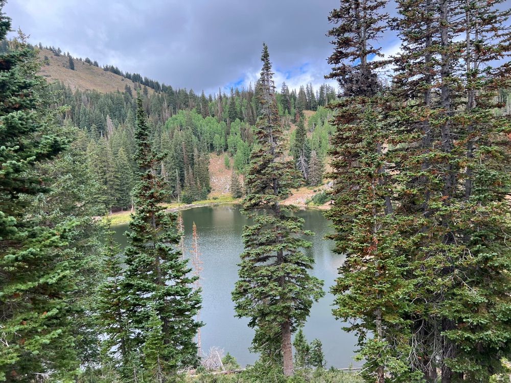 Bloods Lake