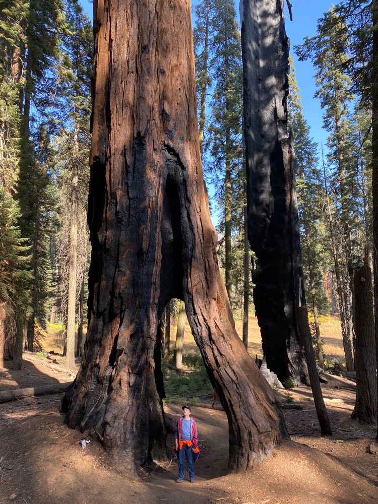 Meadow hike