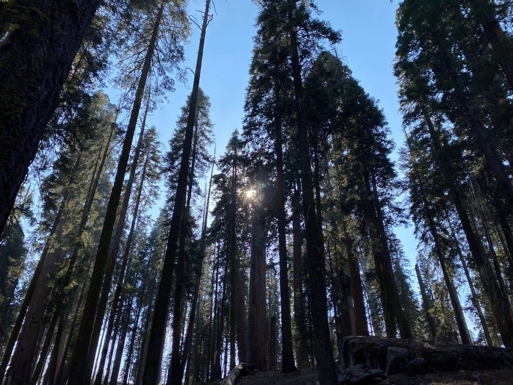 Meadow hike