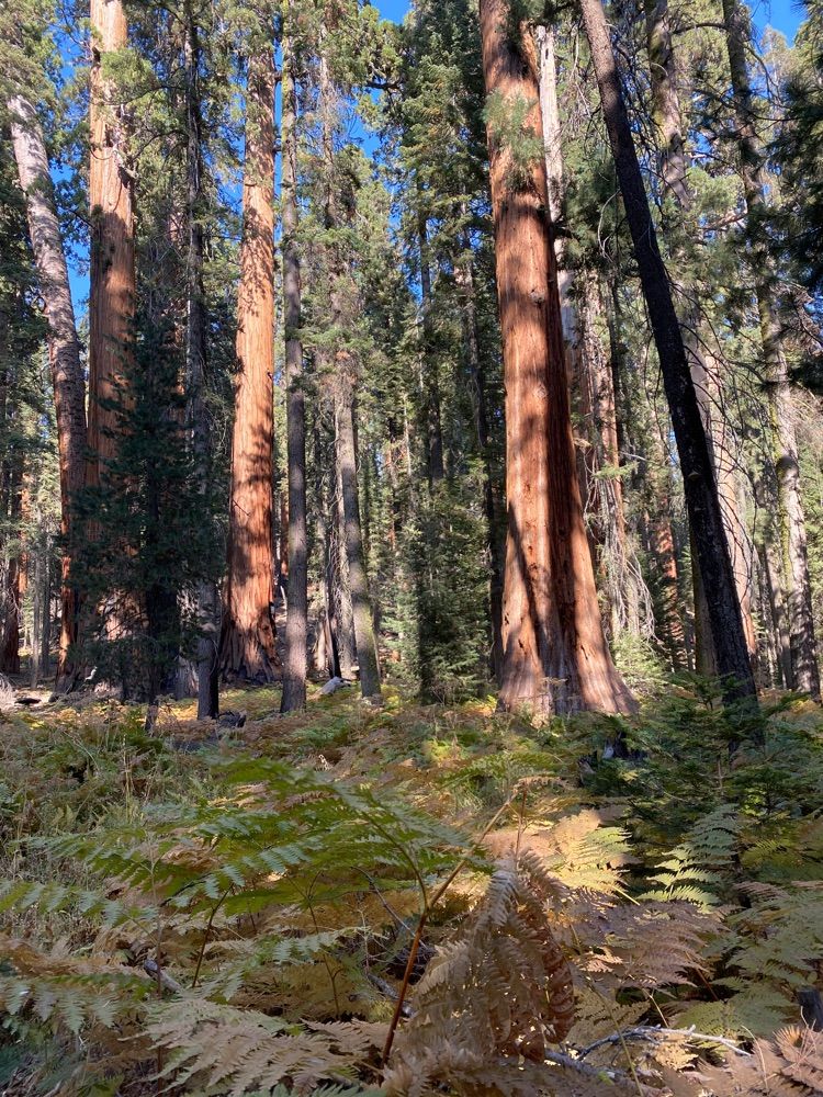 Meadow hike