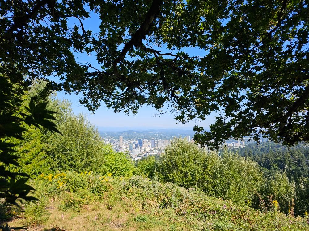 Carve PDX Day 3: Pittock Mansion
