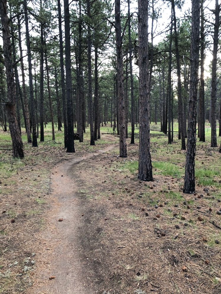 Pineries Open Space
