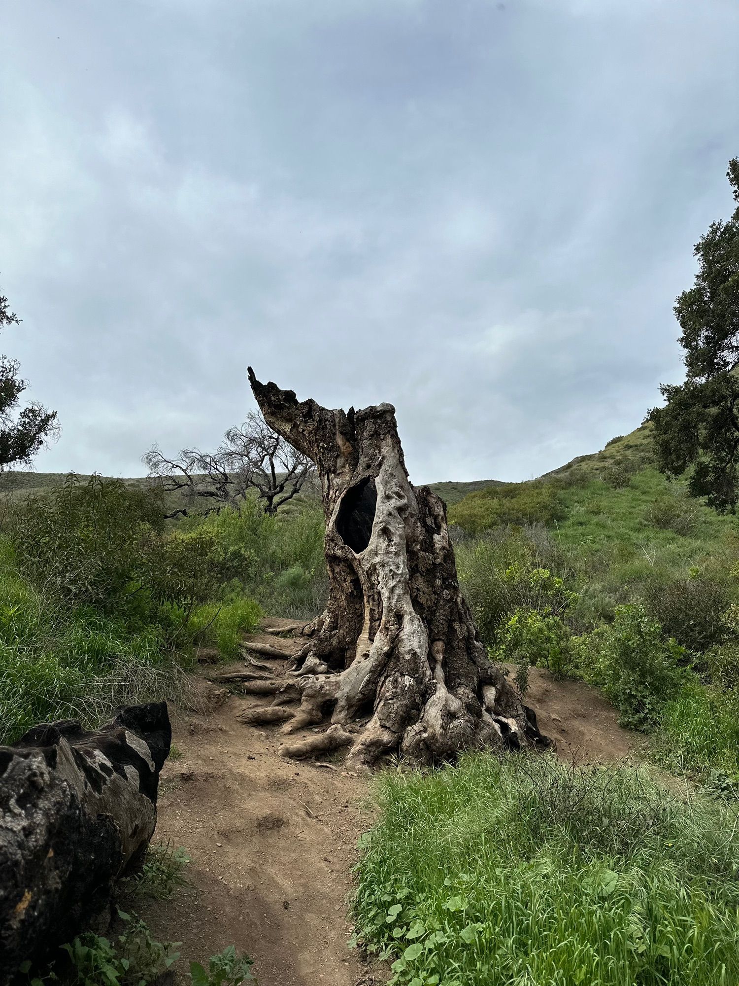 Solstice Canyon Hike - Malibu