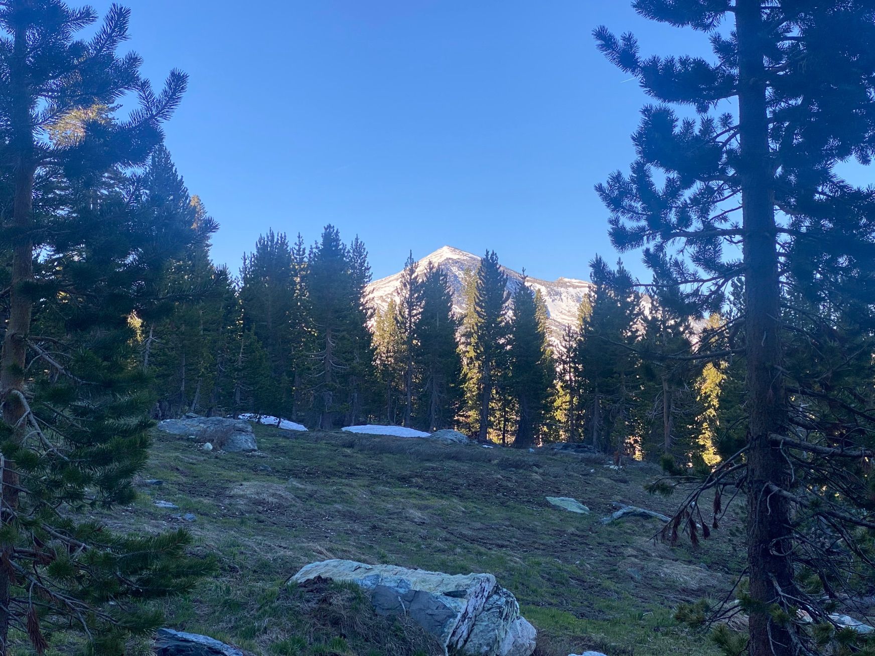 Mount Dana Summit