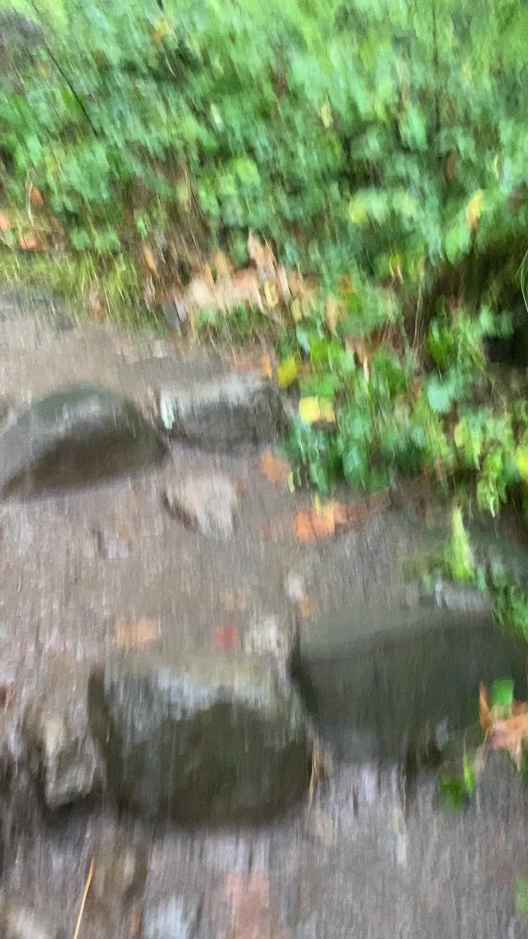 Hike