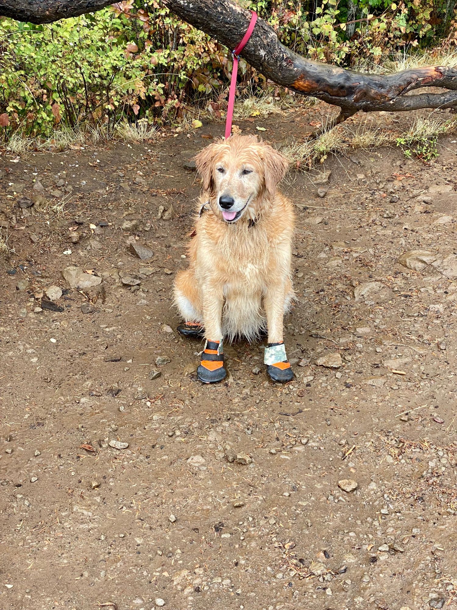 Hike