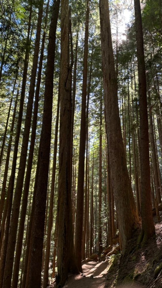 Mount Si Hike