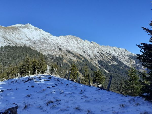 Skalna peč, Kisovec