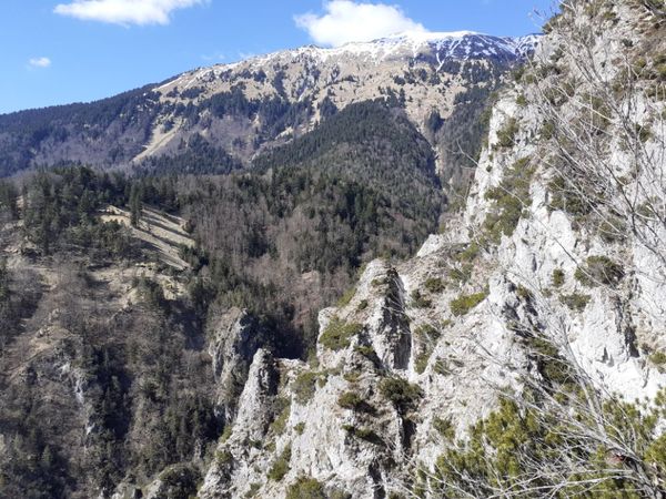 Langusov hrib 🚲&🥾