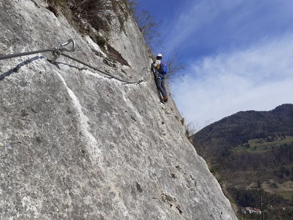 Pot mojstranških veveric
