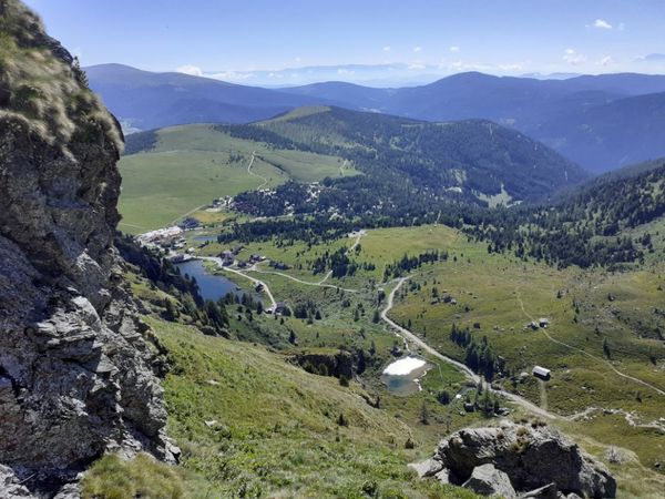 Falkert, Rödresnock