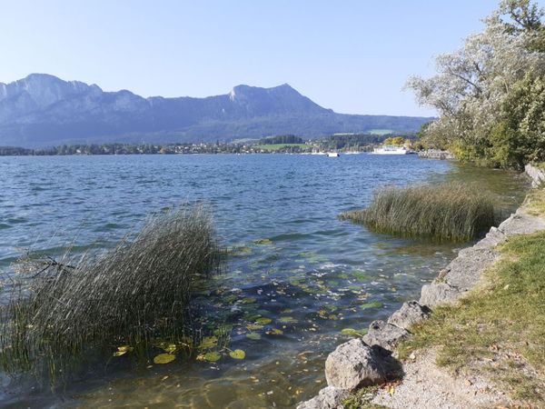 Mondsee