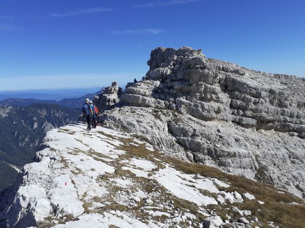 Vrbanove špice, Rjavina