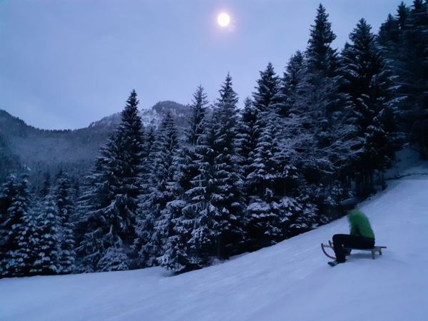 Dom pod Storžičem 🛷