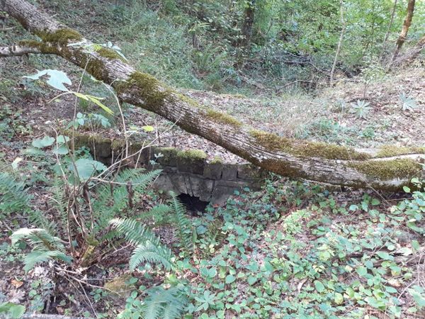 Δύο γέφυρες