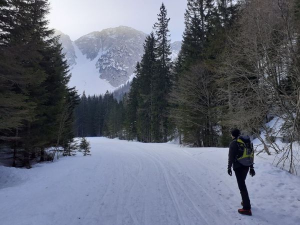 Stol (Janežev žleb)