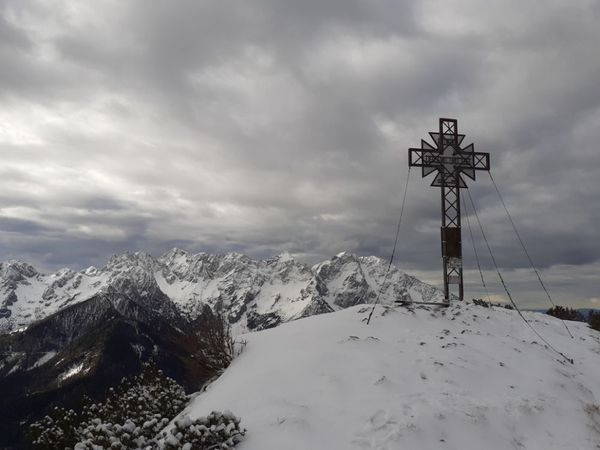 Kärntner Storschitz